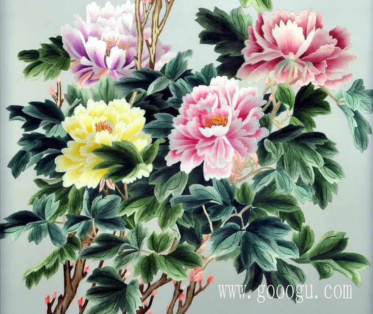 富貴牡丹花細(xì)節(jié)特寫(xiě)圖、顏色過(guò)渡協(xié)調(diào)!